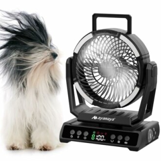 Hund genießt den Luftstrom eines Ventilators
