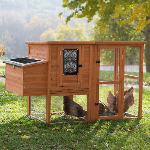 Holzhühnerstall mit Hühnern im Freien